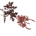 Fiore artificiale Astilbe a