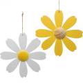 Floristik24 Fiori in legno, decorazione estiva, margherite gialle e bianche, fiori decorativi da appendere 4 pezzi