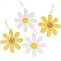 Floristik24 Fiori in legno, decorazione estiva, margherite gialle e bianche, fiori decorativi da appendere 4 pezzi