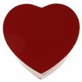 Floristik24 Fioriera cuore rosso 18/20 cm, set di 2