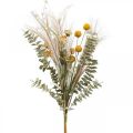 Floristik24 Fiori artificiali Craspedia piuma erba eucalipto mazzo 55cm