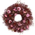 Floristik24 Ghirlanda di fiori, ghirlanda di fiori secchi, rosso vino, rosa, Ø25cm