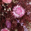 Ghirlanda di fiori, ghirlanda di fiori secchi, rosso vino, rosa, Ø25cm | Floristik24.it