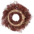 Ghirlanda di fiori, ghirlanda di fiori secchi, rosso vino, rosa, Ø25cm | Floristik24.it