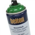 Floristik24 Vernice a base d&#39;acqua senza cintura spray colorata ad alta brillantezza 400 ml
