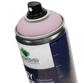 Floristik24 OASIS® Easy Color Spray, vernice spray rosa tenue 400ml