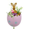 Floristik24 Spina uovo con specie di animali. 8cm L30cm 4 pezzi