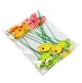 Floristik24 Annaffiatoio a spina di fiori colorato decorazione primaverile con spina da giardino 16 pezzi