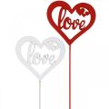 Floristik24 Spina decorativa in legno cuore rosso fiore spina Love 7cm 12pz