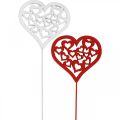 Floristik24 Spina fiore cuore rosso, spina decorativa bianca San Valentino 7cm 12pz