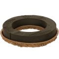 Floristik24 Anello in spugna floreale OASIS® Renewal® Spugna floreale Biolit® 24 cm 2 pezzi