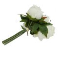 Floristik24 Bouquet di peonie bianche L30cm