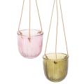 Floristik24 Vaso da fiori/lanterna sospesa in vetro, viola/verde, 14 cm, 2 pezzi