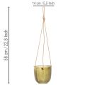 Vaso da fiori/lanterna sospesa in vetro, viola/verde, 14 cm, 2 pezzi | Floristik24.it