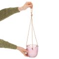 Vaso da fiori/lanterna sospesa in vetro, viola/verde, 14 cm, 2 pezzi | Floristik24.it