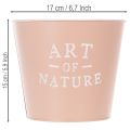Vaso da fiori in zinco Art of Nature, rosa antica, Ø17,5cm H15cm | Floristik24.it