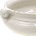 Floristik24 Fioriera con Manico Fioriera Vaso per Piante in Ceramica Bianco Ø22cm