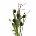Floristik24 Mazzo di fiori di campo naturale, verde 25–60 cm 70 g