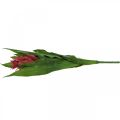 Floristik24 Bromelia artificiale Rosa Fiore artificiale da attaccare 54cm