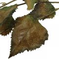 Floristik24 Ramo decorativo faggio artificiale ramo di faggio ramo d&#39;autunno deco 115cm