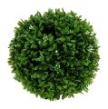 Floristik24 Palla di bosso con fiori palla decorativa verde Ø18cm 1pz