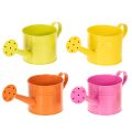 Floristik24 Annaffiatoi decorativi colorati, Ø11cm, H9.5cm, per piante, decorazioni primaverili da tavola, in metallo, set da 8