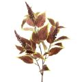 Floristik24 Coleus artificiale con foglie rosse, pianta artificiale, 20 cm