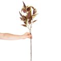 Coleus artificiale con foglie rosse, pianta artificiale, 20 cm | Floristik24.it