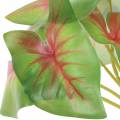 Floristik24 Pianta artificiale caladium a sei foglie verde/rosa artificiale come vera!