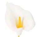 Calla artificiale con stami gialli, fiori decorativi, 35 cm, 10 pezzi | Floristik24.it