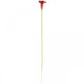 Floristik24 Calla rosso bordeaux fiori artificiali in mazzo 57cm 12pz