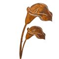 Floristik24 Paletto da giardino a forma di calla, ruggine, per lapidi e composizioni floreali, 25 cm, 6 pezzi