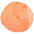 Floristik24 Conchiglie Capiz Fette Capiz Fette madreperla arancia 7,5–9,5 cm 300 g