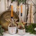 Floristik24 Decorazioni per l&#39;albero di Natale, decorazioni dell&#39;Avvento, pendenti a stella dorati L30 cm 4 pezzi