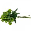 Floristik24 Rosa di Natale Rosa quaresimale Veratro fiori artificiali verde L34cm 4pz