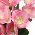 Floristik24 Bouquet Christmas Rose Pink 29cm 4 pezzi