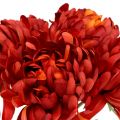 Floristik24 Mazzo di crisantemo vermiglio 28cm 6pz