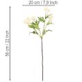 Fiore di crisantemo artificiale, mazzo bianco crema, ramo decorativo, grande 56 cm, 4 pezzi | Floristik24.it