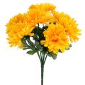 Floristik24 Crisantemo giallo con 7 fiori