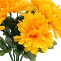 Floristik24 Crisantemo giallo con 7 fiori