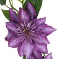 Floristik24 Clematide artificiale, fiore di seta, ramo decorativo con fiori di clematide viola L84cm