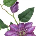 Floristik24 Clematide artificiale, fiore di seta, ramo decorativo con fiori di clematide viola L84cm