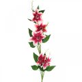 Floristik24 Ramo clematide con 5 fiori, fiore artificiale, ramo decorativo rosa, bianco L84cm