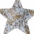 Floristik24 Stella di cocco bianco grigio 5 cm 50 pezzi stelle dell&#39;Avvento decorazione a dispersione