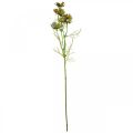 Floristik24 Cesto per gioielli Cosmea fiori estivi artificiali verdi 61 cm