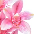 Floristik24 Orchidea Cymbidium artificiale 5 fiori rosa 65 cm
