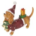 Floristik24 Statuetta decorativa di bassotto con confezione regalo e cappellino, 18 cm