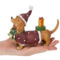 Statuetta decorativa di bassotto con confezione regalo e cappellino, 18 cm | Floristik24.it