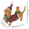 Statuetta decorativa di bassotto con confezione regalo e cappellino, 18 cm | Floristik24.it