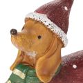 Statuetta decorativa di bassotto con confezione regalo e cappellino, 18 cm | Floristik24.it
